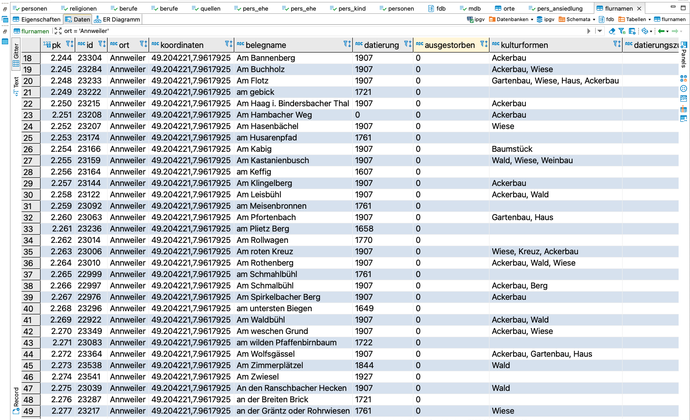 Digitales Pfälzisches Flurnamenarchiv