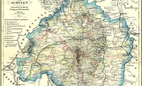 Online-Beratung des IPGV