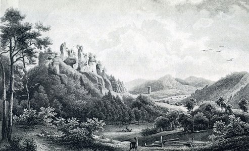 Der Pfälzerwald in Vergangenheit, Gegenwart und Zukunft